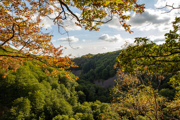 Fototapeta premium Autumn view in Söderåsen