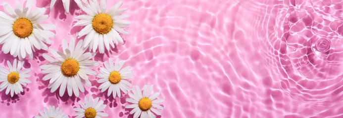 Foto op Canvas Chamomile flowers in pink water banner with concentric circles and ripples. Natural beauty Spa concept, Copy space © colnihko