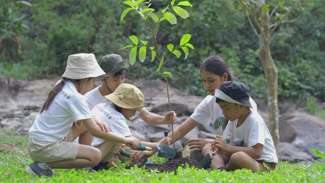 Volunteer Asian and children planting a forest as save world concept. Activities aimed at instilling a sense of reverence for the natural world and the environment