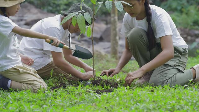 Volunteer Asian and children planting a forest as save world concept. Activities aimed at instilling a sense of reverence for the natural world and the environment