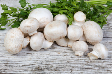 Uncooked button mushrooms against the parsley on old wooden surface