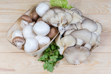 Raw cultivated mushrooms different varieties on rustic table