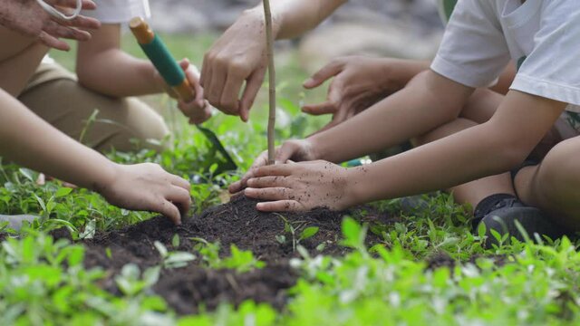Close up hand of children planting a forest as save world concept. Volunteer Activities aimed at instilling a sense of reverence for the natural world and the environment