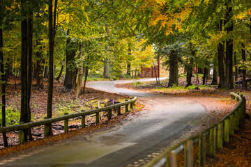 Fototapeta na wymiar Autumn roads in Denmark