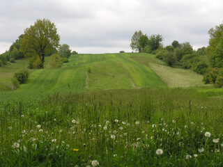 Fototapeta na wymiar Skierbieszow Landscape Park, Lubelskie region, Poland
