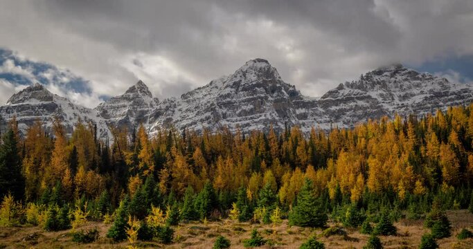 Time Lapse Dark Clouds Moving Above Forest in Larch Valley and Snow Capped Peaks of Banff National Park, Sentinel Pass, Canada