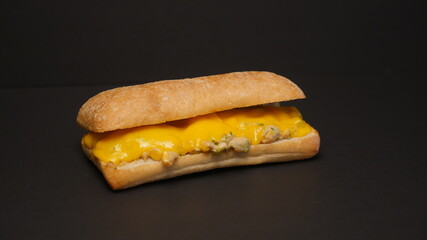 Delicious sandwich on a black background.