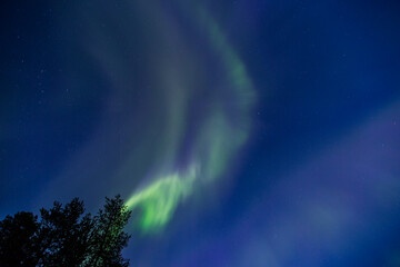 Fototapeta na wymiar Northern lights in Kiruna, Lapland, Northern Sweden