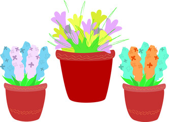 Flat spring flowers for decoration design. Set of flowers in pots. Blossom plant, botanical flowerpot.