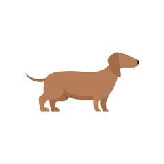 Long dog icon flat isolated vector