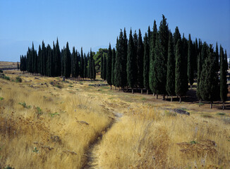 Landscape in Turkey near Hierapolis, Europe