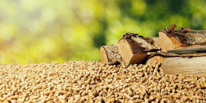 Biomass - Wood Pellets And Birch Firewood On Green Leaf Background. Renewable Energy