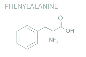 Penylalanine molecular skeletal chemical formula.