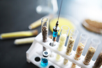 Research Analyzing Agricultural Grains And seeds In The Laboratory. Test tubes with seeds of selection plants.