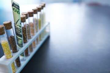 Research Analyzing Agricultural Grains And seeds In The Laboratory. Test tubes with seeds of selection plants.