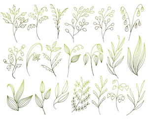 A large set of hand-drawn vector flowers and branches with leaves, flowers, berries. Collection of flower sketches. Decorative elements for design
