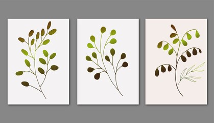 Botanical wall art vector set. Foliage line art drawing with abstract shape. Abstract Plant Art design for print, cover, wallpaper, Minimal and natural wall art background.