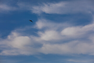 majestic clouds and blue sky