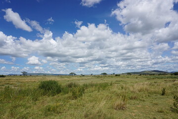 Breathtaking landscape in the Serengeti National Park