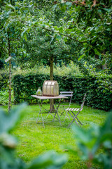 Table and chairs in garden