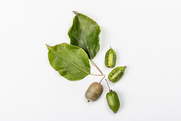 Ripe Actinidia arguta or kiwi isolated on white background