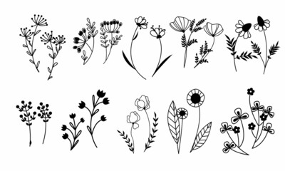 Black line art branches and flowers set. Doodle style field and meadow plants. Collection of hand drawn floral flowers, leaves and berries. Wild flowers
