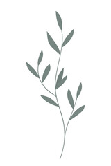 Vector illustration of a branch with leaves on white background.
