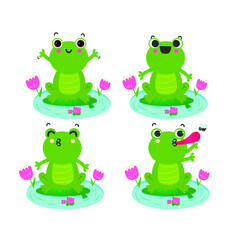 frog cute 
