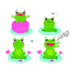 frog cute 