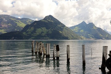 Lake Lucerne with palisades in summer