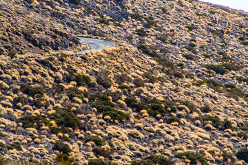 Paisaje con vegetación y carretera en el Parque Nacional del Teide