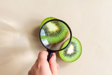 A child examines halves of a kiwi with a magnifying glass. 