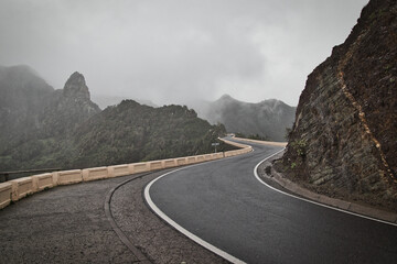 Anaga Rural Park Tenerife, laurel forest in the fog in December