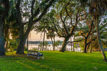 A swing sofa with ropes tied to an old tall tree in the backyard of a home on the banks of the Sebastian River in Florida, illuminated by yellow sunlight as the sun rises.