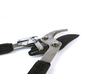 Pruning shears (hedge cutting shears) on a white background, copy space