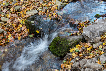 Fototapeta na wymiar stream in autumn, Mala Fatra, Slovakia, Europe