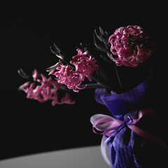 Purple hyacinth flowers in a vase on a black background in natural daylight