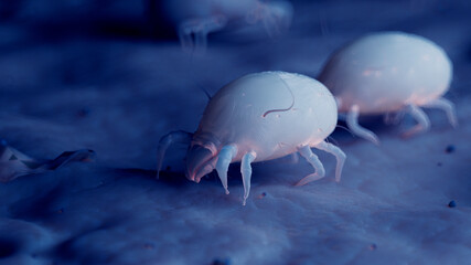 3d rendered illustration of dust mites