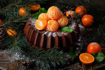 Fototapeta na wymiar Homemade Citrus Tangerine cake decorated with powdered sugar and mandarin