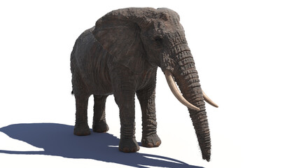 Fototapeta premium 3d rendered illustration of an elephant