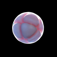 3d rendered illustration of an 8 cell egg