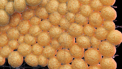 3d rendered illustration of fat cells