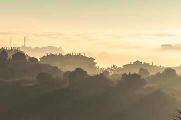 View of the section of the mountain road through the leaves and fruits of the orange tree from the garden.