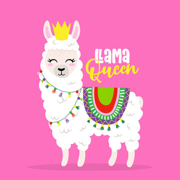Llama Queen - funny vector quotes and llama drawing. Lettering poster or t-shirt textile graphic design. Amazing llama character illustration on isolated pink background. Happy Valentine's Day.