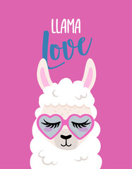 Fototapeta premium Llama Love - funny vector quotes and llama drawing. Lettering poster or t-shirt textile graphic design. Amazing llama character illustration on isolated pink background. Happy Valentine's Day.