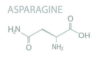 Asparagine molecular skeletal chemical formula.
