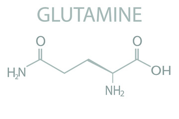 Glutamine molecular skeletal chemical formula.