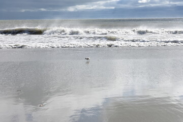 Waves on the beach on a windy deserted beach
