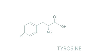 Tyrosine molecular skeletal chemical formula.