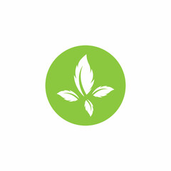 Leaf icon Vector Illustration design Logo template
